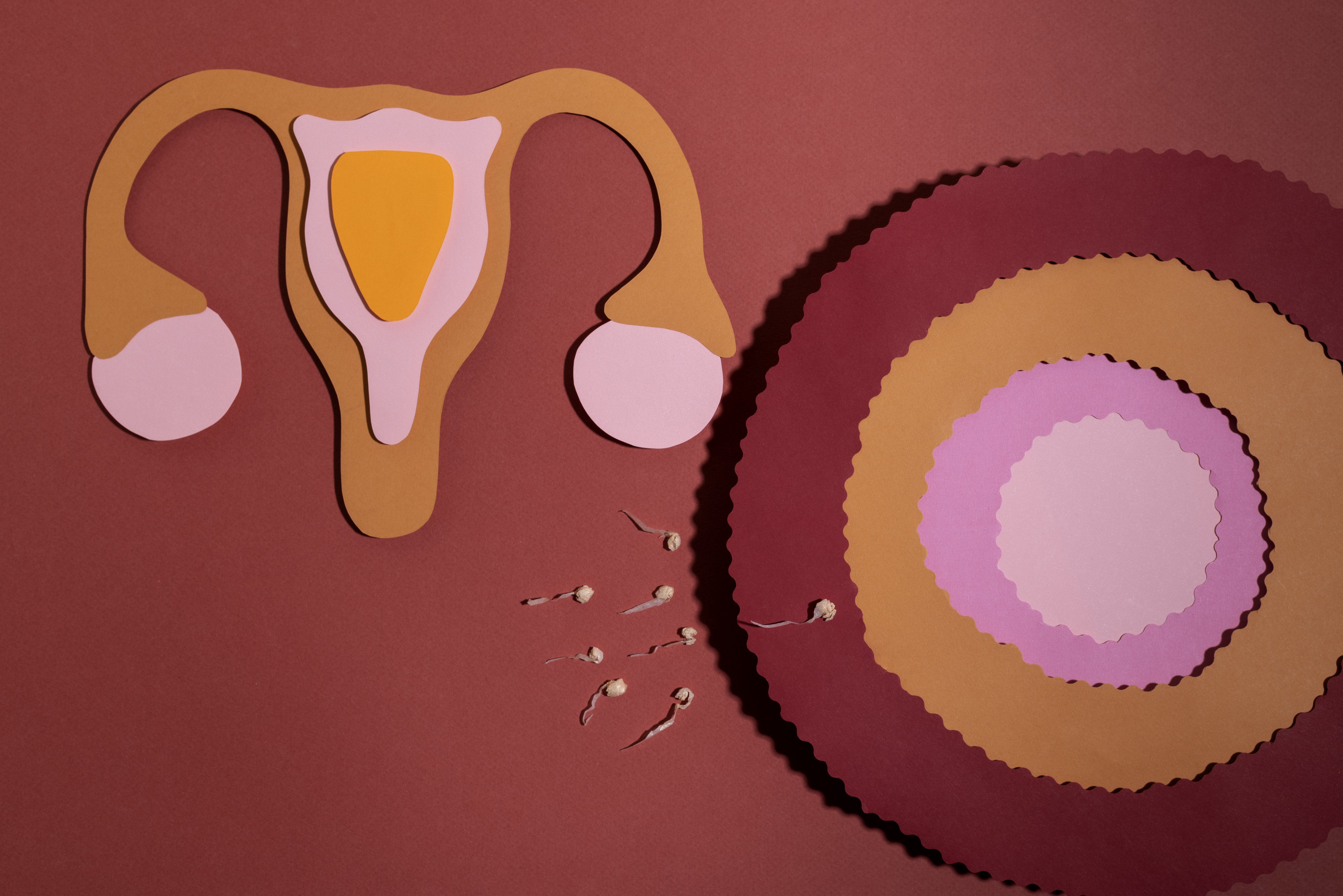 Gynecology Endocrinology Services